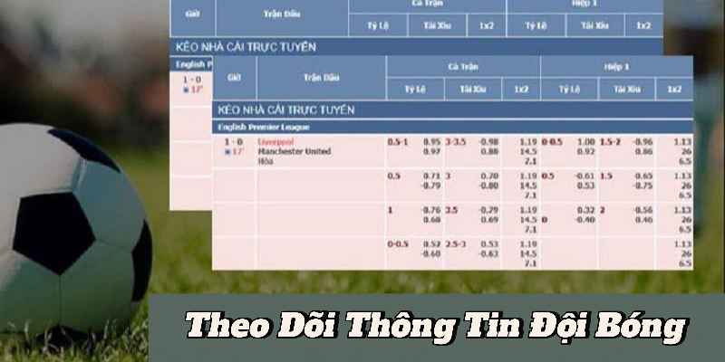 Theo Dõi Thông Tin Đội Bóng